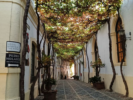 Wie drinkt er nog Sherry?