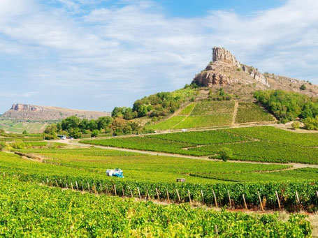 Wijnreis Frankrijk Bourgogne