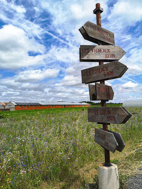 Plan je trip naar de loire wijnstreek