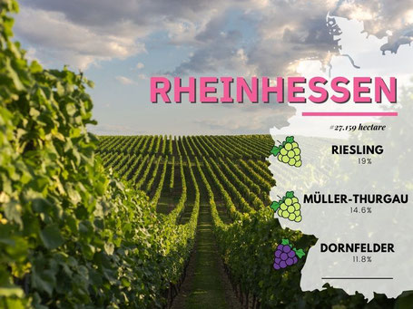 Wijngebieden Duitsland #10 Rheinhessen