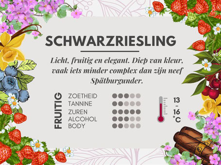 Duitse wijnsoorten #13 Schwarzriesling smaakprofiel