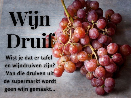 Wijnweetjes -Wijn wordt niet gemaakt van druiven uit de supermarkt