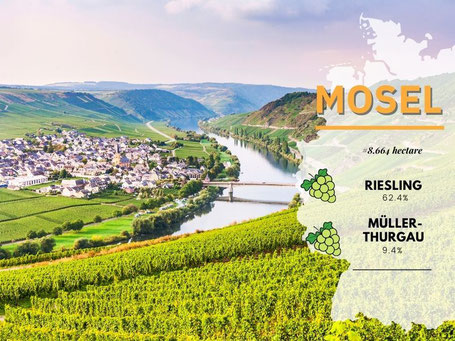 Wijngebieden Duitsland #6 Moezel