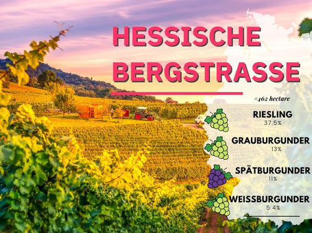 Wijngebieden Duitsland #4 Hessische Bergstrasse