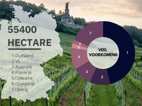 Waar komt Riesling vandaan?