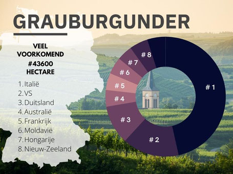 Waar komt Grauburgunder vandaan?
