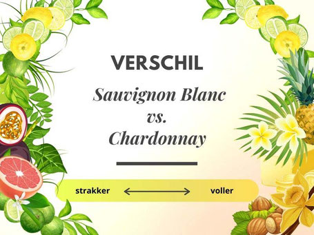 Verschil Chardonnay en Sauvignon Blanc