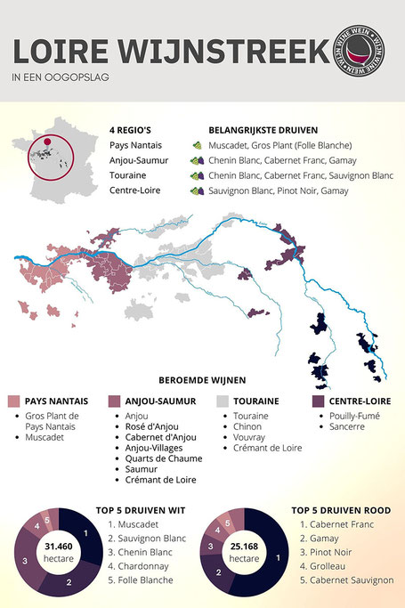 Loire wijnen en loire druiven infographic