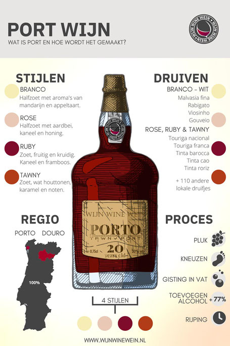 Wat is Port Infographic