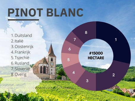 Waar komt Pinot Blanc vandaan