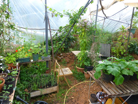Inside the greenhouse