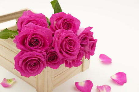 Rosen Valentinstag