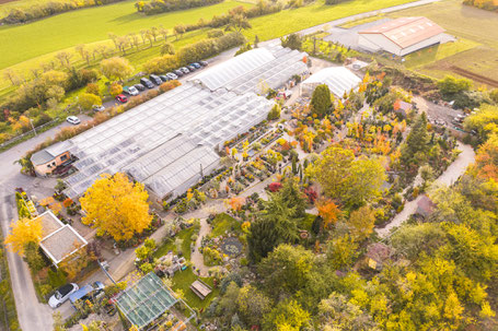 Gärtnerei und Gartenbaumschule in Würzburg und Umgebung