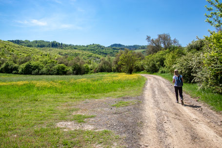 Parco della Vena del Gesso Romagnola