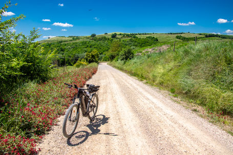 Crete Senesi: Strade Bianche