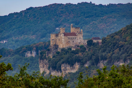Chateau de Montfort