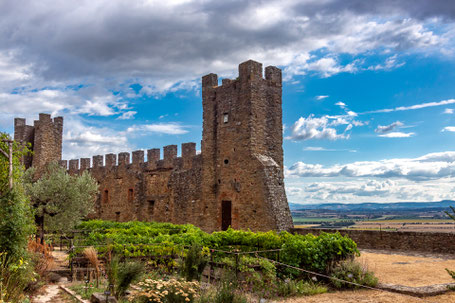 Castello di Montecchio Vesponi