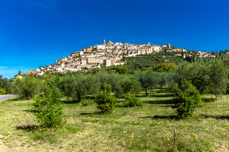 Trevi: Panorama