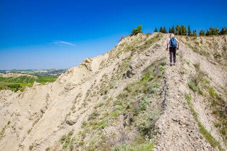 Parco della Vena del Gesso Romagnola