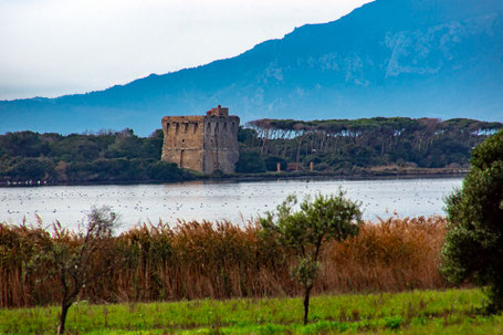 Torre del Buranaccio - Lago di Burano
