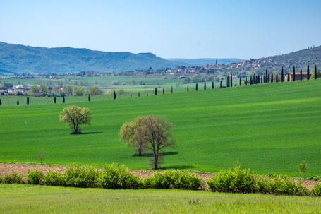 Umbria: terre di sud ovest