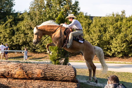 Haflinger Lilly von der Reitschule Priska Kelderer in Kaltern, beim Kinderreiten am GeorgsTurm