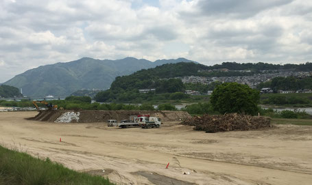 広島市太田川沿いに運ばれた土砂や流木（2015年4月29日撮影：災害から8カ月後）