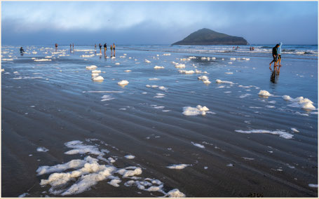 Vancouver Island, Pacific Rim National Park, Long Beach, Tofino, Wickaninnisch Bay