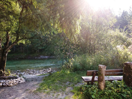 Ausblick vom Camper auf die Salza