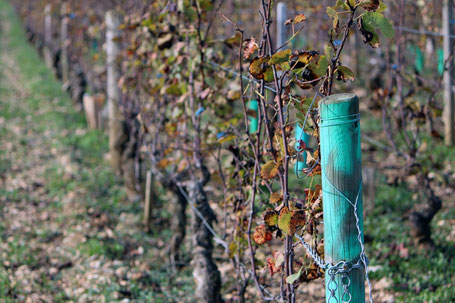 Beaune, les climats, Unesco