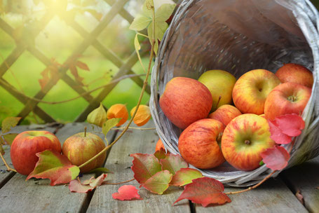 Herbst; TCM; Trockener Husten; Tipps