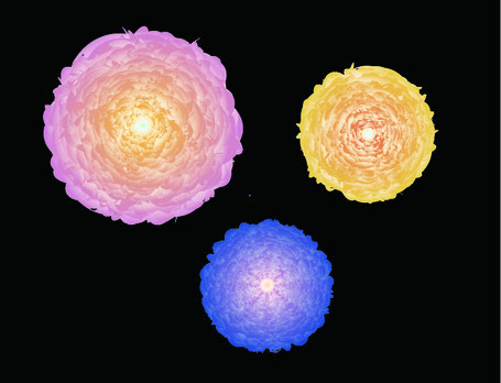 ブレンドツールを使って 簡単グラフィック作成 岐阜県多治見市と名古屋市中区 イラストレーター教室 Ai Cafe アイカフェ