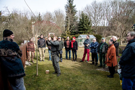 Bäume verschneiden Obstbäume Lehrgang Kurs