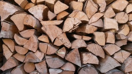 Kaminholz bieten wir Ihnen in verschiedenen Längen und Trocknungsstufen an. Das Holz ist sortenrein, kann aber auch als Mix erworben werden. Lose geschüttet, in Netzsäcken oder in der IBC-Box-Sie haben die Wahl.