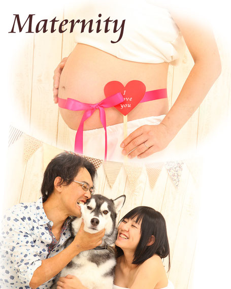 マタニティー 家族写真 ペット 写真