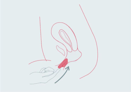 Rayne Care Menstrual Disc