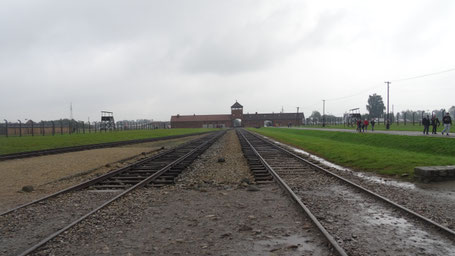 We watched Auschwitz: the Nazis and the Final Solution on Netflix