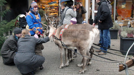 Tiere für Veranstaltungen buchen