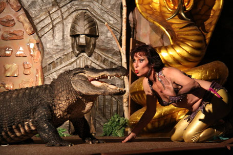 Krokodile bei der Fakirshow