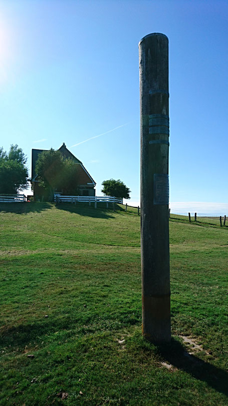 Sturmflutpfahl auf der Hallig Nordstrandischmoor