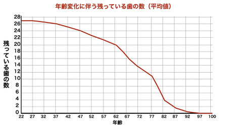 歯の平均寿命