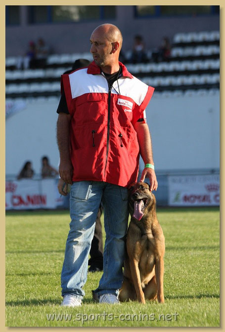 dressage chien var