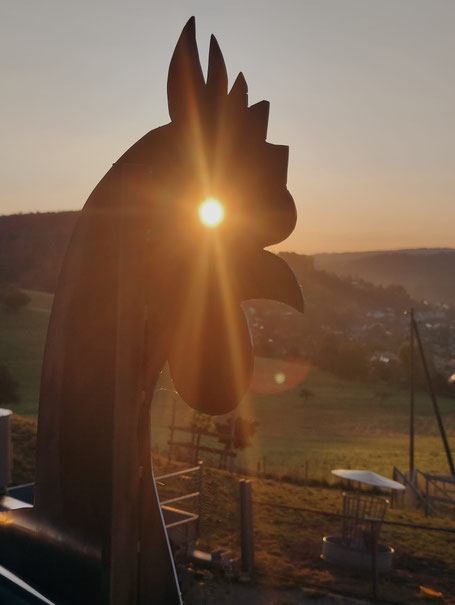 Morgenstund hat Gold im Mund