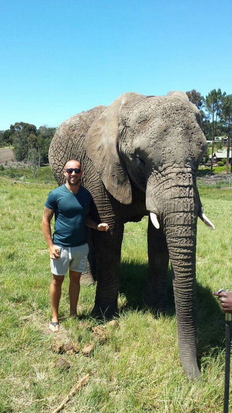 backpacking-suedafrika-knysna-elephant-park-tour-spass
