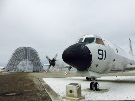 Hier im NASA Research Park sitzt die Singularity University