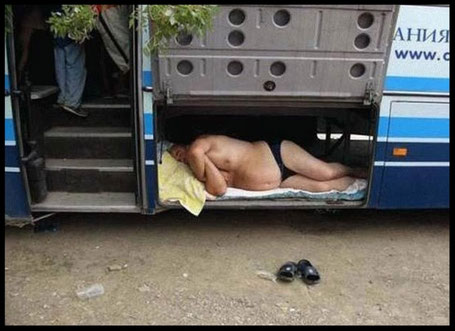 Schalfen... (gefunden im WWW)