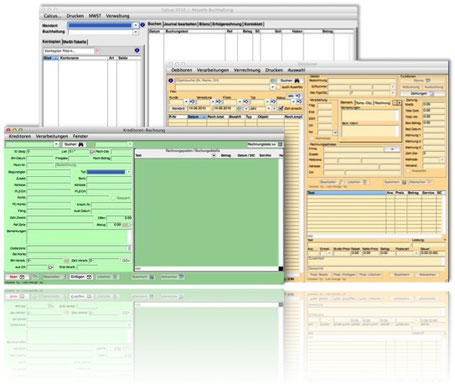 Screenshot der Softwaremodule Kreditoren, Debitoren und Buchhaltung die von MS Treuhand entwickelt wird