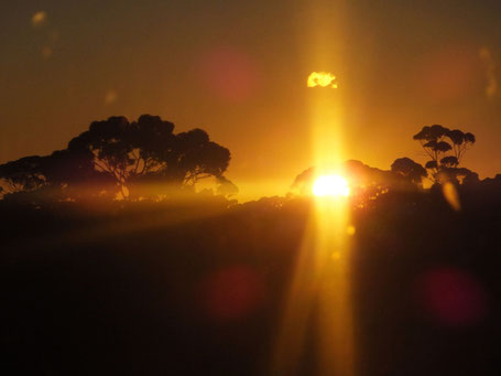 Sonnenuntergang durchs Panorama-Zugfenster