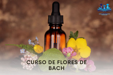 CURSO FLORES DE BACH