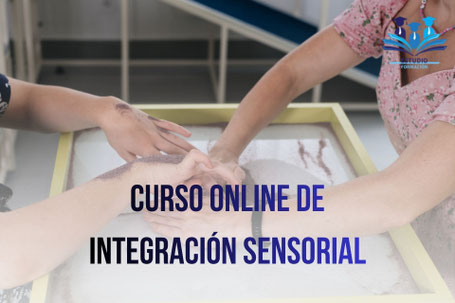 CURSO ONLINE DE INTEGRACIÓN SENSORIAL